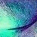 สมาชิกหมายเลข 2736987