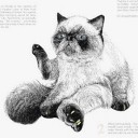 สมาชิกหมายเลข 1247760