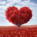 สมาชิกหมายเลข 2343597