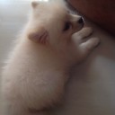 สมาชิกหมายเลข 1108198