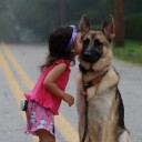 สมาชิกหมายเลข 1917346