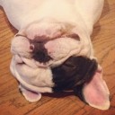 หนังสือเก่าๆ