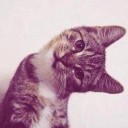 สมาชิกหมายเลข 2343855