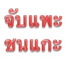 สมาชิกหมายเลข 1002581