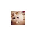 สมาชิกหมายเลข 1278124