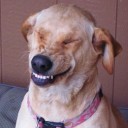 Digital Lady (Chobits)