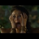 สมาชิกหมายเลข 981361