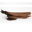 นายขอนไม้