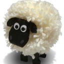 คืนที่จันทร์เต็มดวง