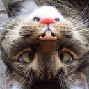 สมาชิกหมายเลข 1077788