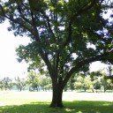 สมาชิกหมายเลข 1108673