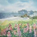 สมาชิกหมายเลข 2166255