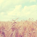 คนแคระคนที่แปด