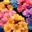 สมาชิกหมายเลข 1950602