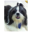 สมาชิกหมายเลข 1085551