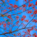 สมาชิกหมายเลข 1541612