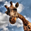 สมาชิกหมายเลข 2240382