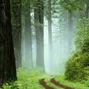 สมาชิกหมายเลข 720996