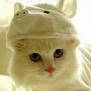 สมาชิกหมายเลข 801978