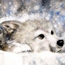 สมาชิกหมายเลข 1932792