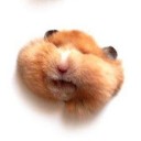 สมาชิกหมายเลข 721181