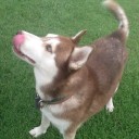 สมาชิกหมายเลข 1815808