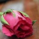 สมาชิกหมายเลข 1951419