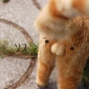 สมาชิกหมายเลข 1729127