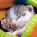 สมาชิกหมายเลข 2740466