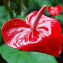 สมาชิกหมายเลข 2740658