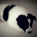 จำง่ายลืมยาก