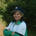 แป้งแดง