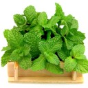 สมาชิกหมายเลข 2740967