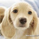 เด็กหญิงกานดา