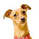 ทุกสิ่ง