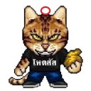 สมาชิกหมายเลข 1904267