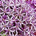 สมาชิกหมายเลข 1058322