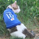 น้องใจดีน่ารัก