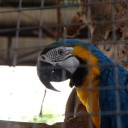 สมาชิกหมายเลข 3163826