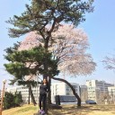 เกิดเป็นน้องคนเล็ก