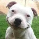 สมาชิกหมายเลข 1921063