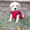 สมาชิกหมายเลข 1952762