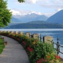 สมาชิกหมายเลข 1952959