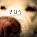 สมาชิกหมายเลข 2233968