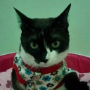 สมาชิกหมายเลข 2131127