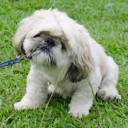 สมาชิกหมายเลข 1094559