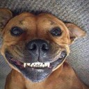 สมาชิกหมายเลข 897026