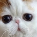 สมาชิกหมายเลข 902086