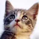 สมาชิกหมายเลข 1951197