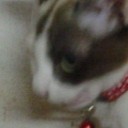 สมาชิกหมายเลข 710365